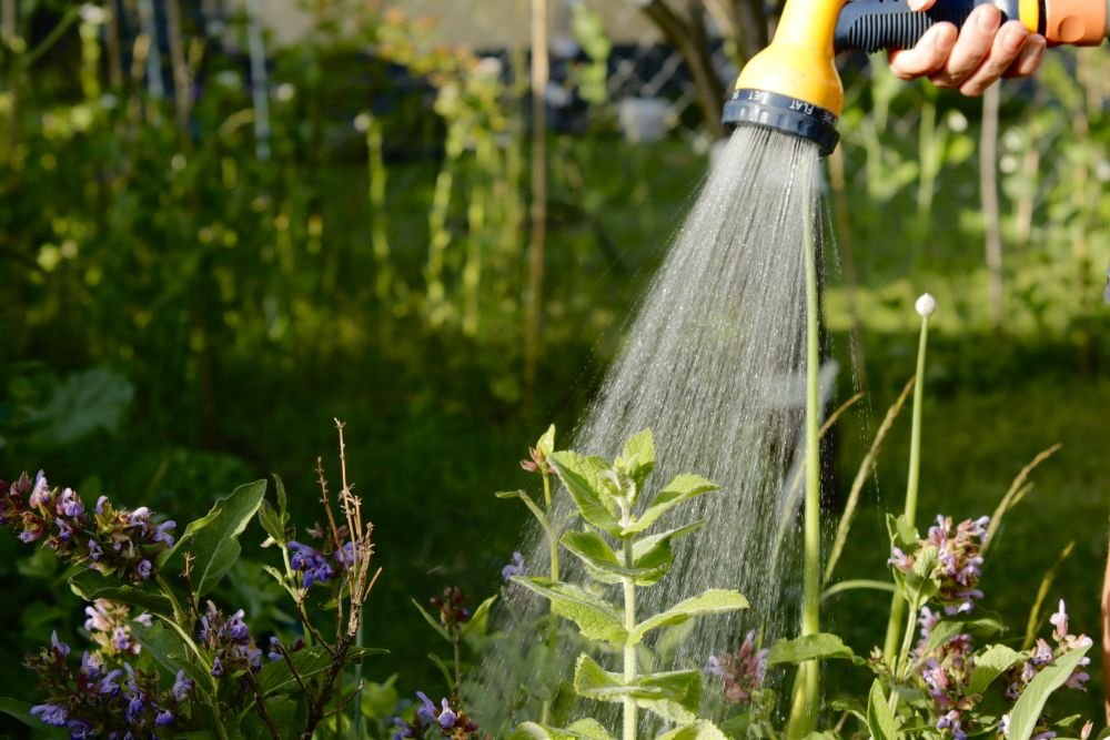 System Lawn Sprinkler Turf Care Smart Landscape La WZRUWQS