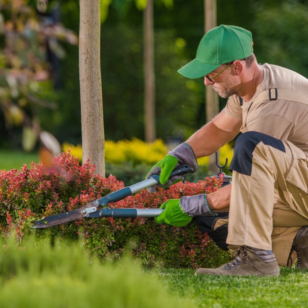 Caucasian Professional Garden Worker Trimming Plan T3V9MPC 1024x1024